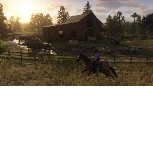 Red Dead Redemption 2 PS4